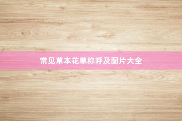 常见草本花草称呼及图片大全