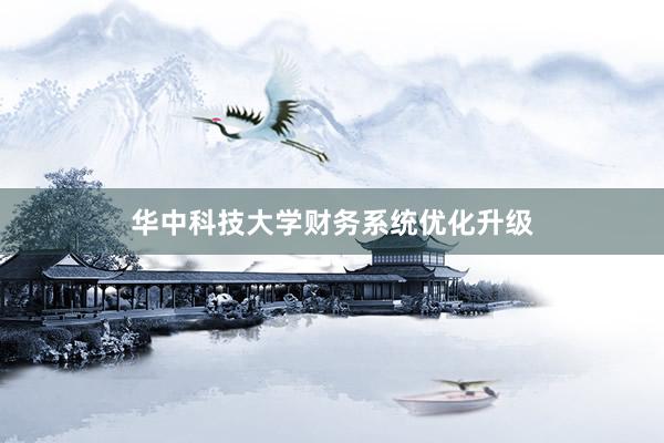 华中科技大学财务系统优化升级